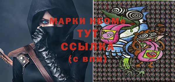 прущие грибы Алзамай