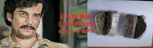 прущие грибы Алзамай