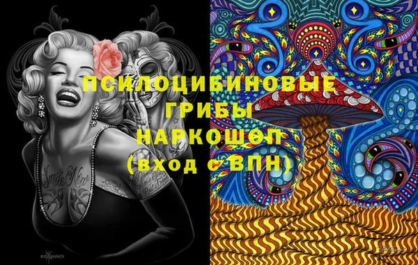 ПСИЛОЦИБИНОВЫЕ ГРИБЫ Алексеевка