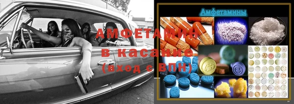 прущие грибы Алзамай