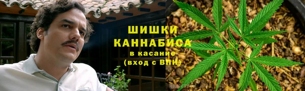 прущие грибы Алзамай